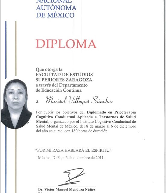 Ampliar imagen: certificate 8
