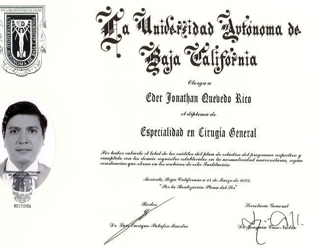 Ampliar imagen: certificate 3