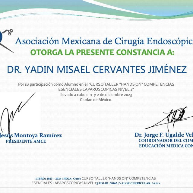Ampliar imagen: certificate 9