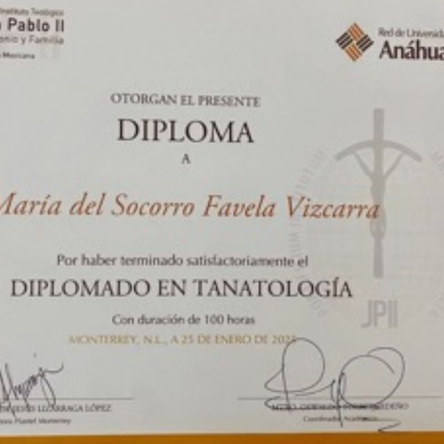 Ampliar imagen: certificate 12