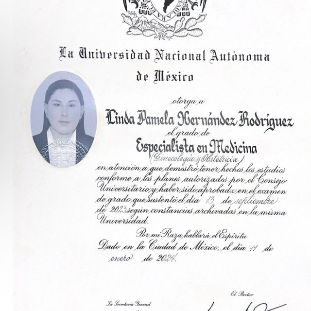 Ampliar imagen: certificate 2