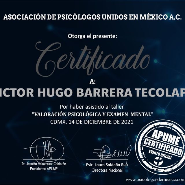 Ampliar imagen: certificate 65