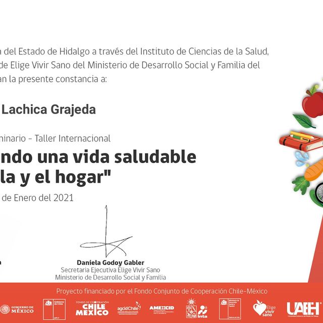 Ampliar imagen: certificate 6