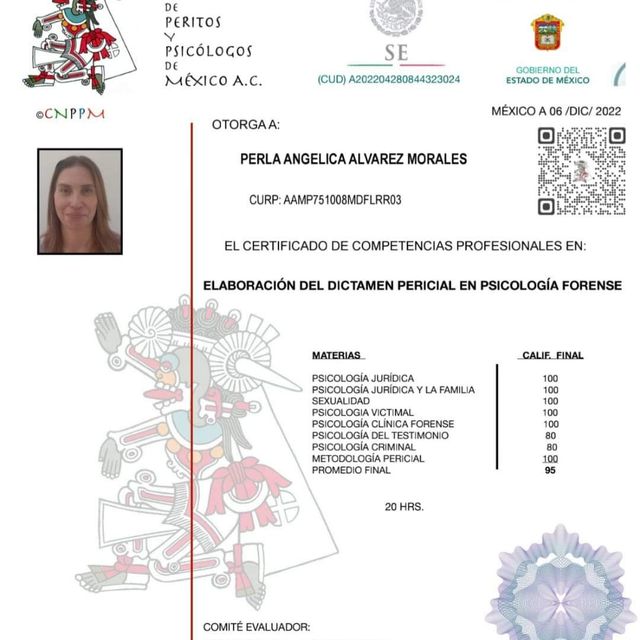 Ampliar imagen: certificate 2