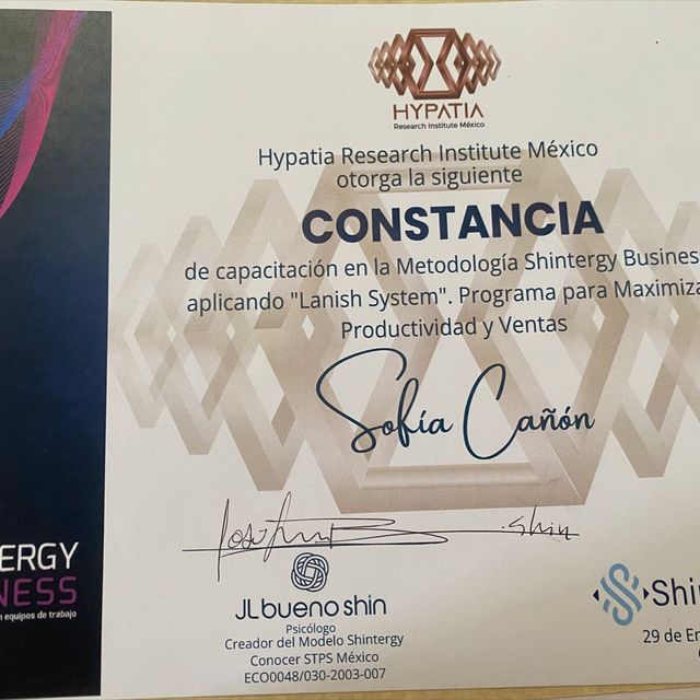 Ampliar imagen: certificate 2