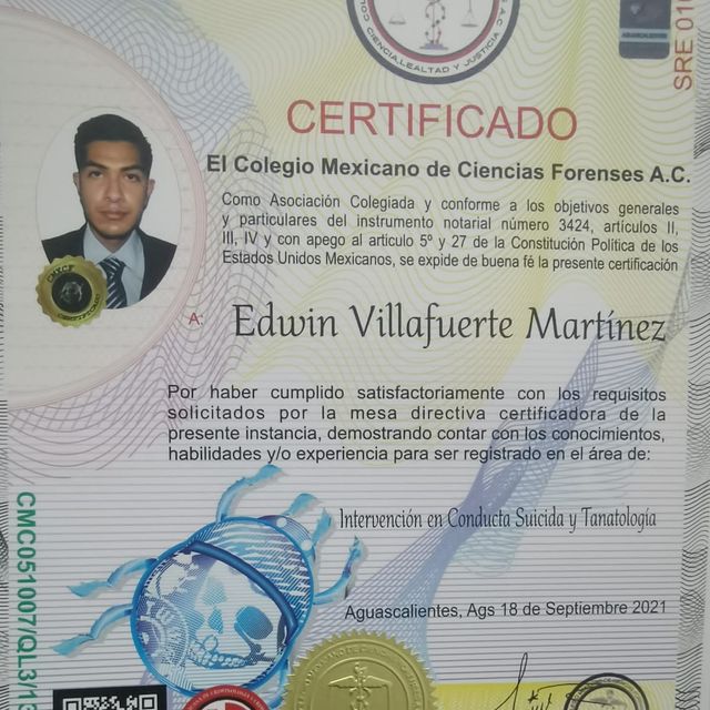 Ampliar imagen: certificate 1