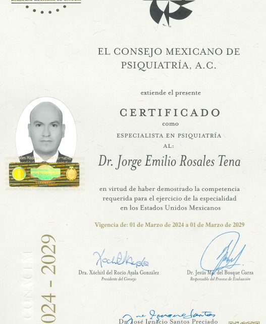 Ampliar imagen: certificate 1