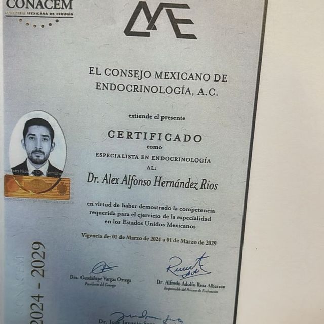 Ampliar imagen: certificate 1