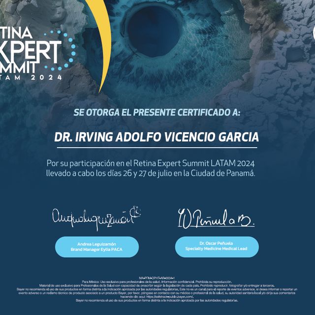 Ampliar imagen: certificate 4