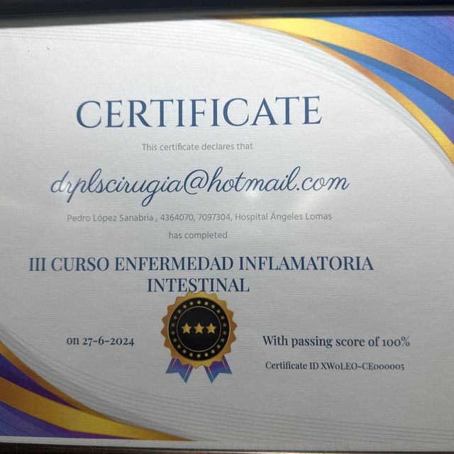 Ampliar imagen: certificate 16