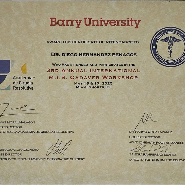 Ampliar imagen: certificate 4