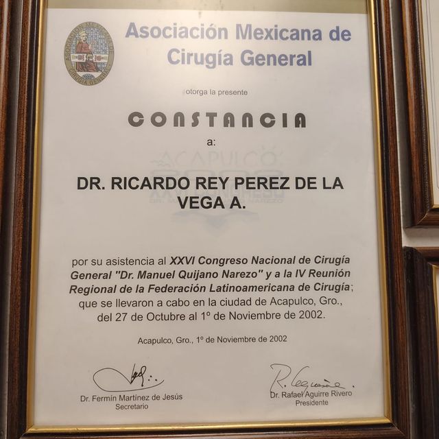 Ampliar imagen: certificate 5