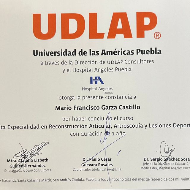 Ampliar imagen: certificate 2