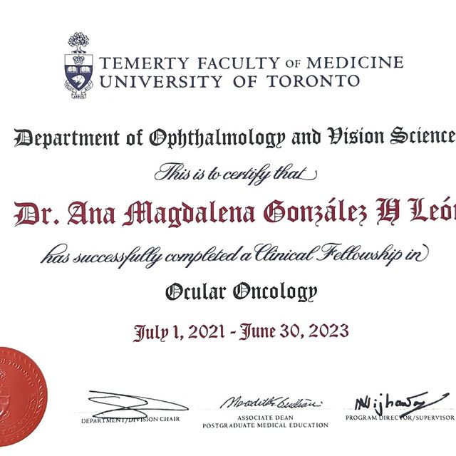 Ampliar imagen: certificate 2