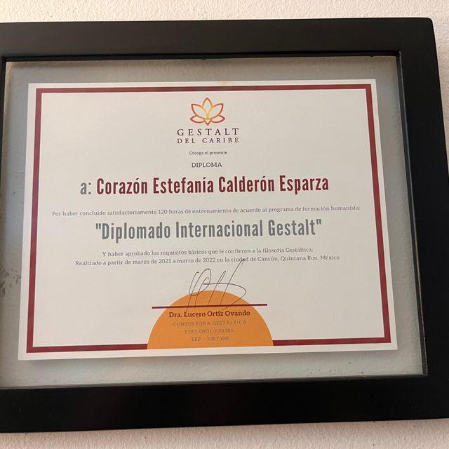 Ampliar imagen: certificate 7