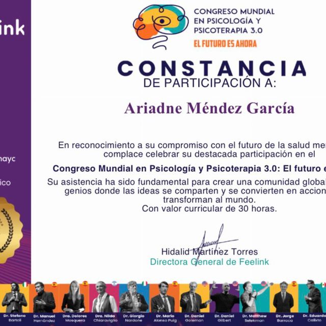 Ampliar imagen: certificate 4