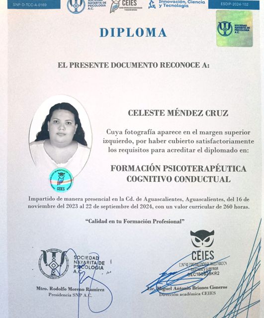 Ampliar imagen: certificate 2