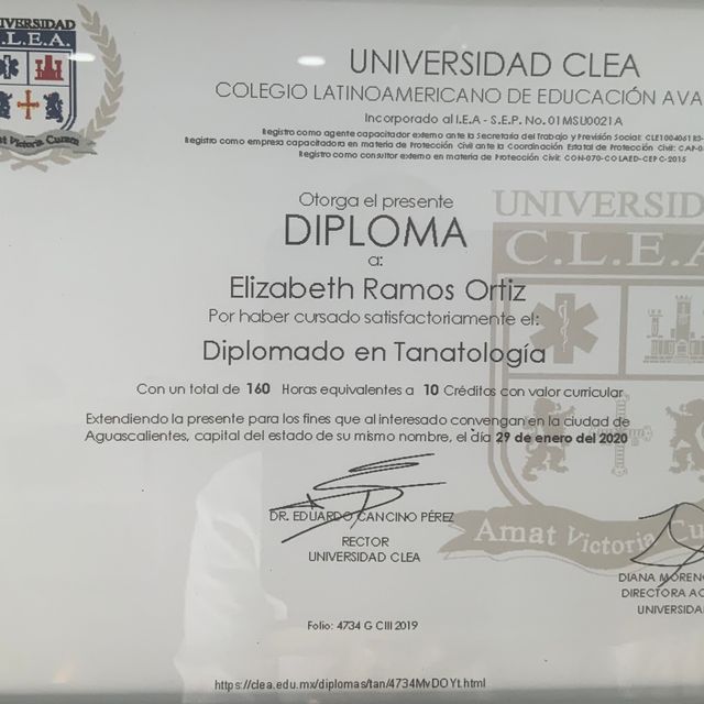 Ampliar imagen: certificate 7