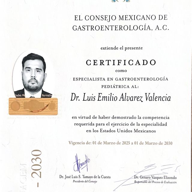 Ampliar imagen: certificate 3