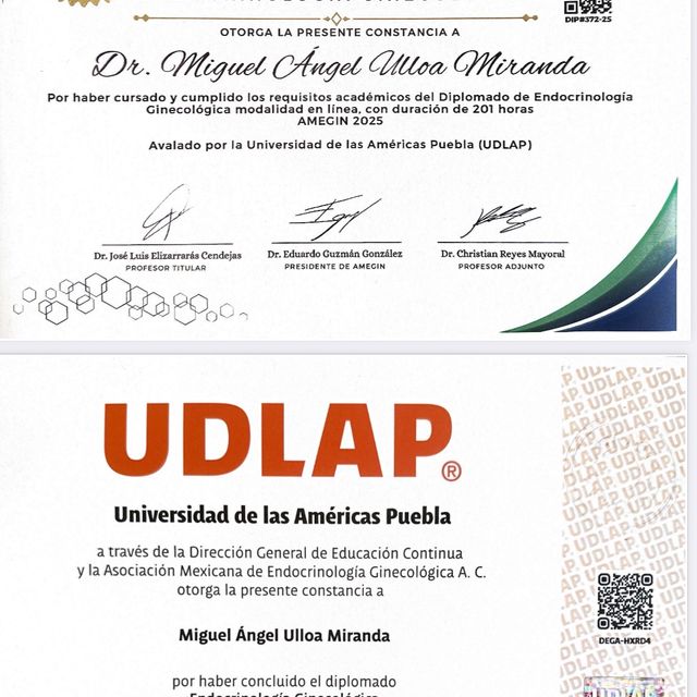 Ampliar imagen: certificate 14