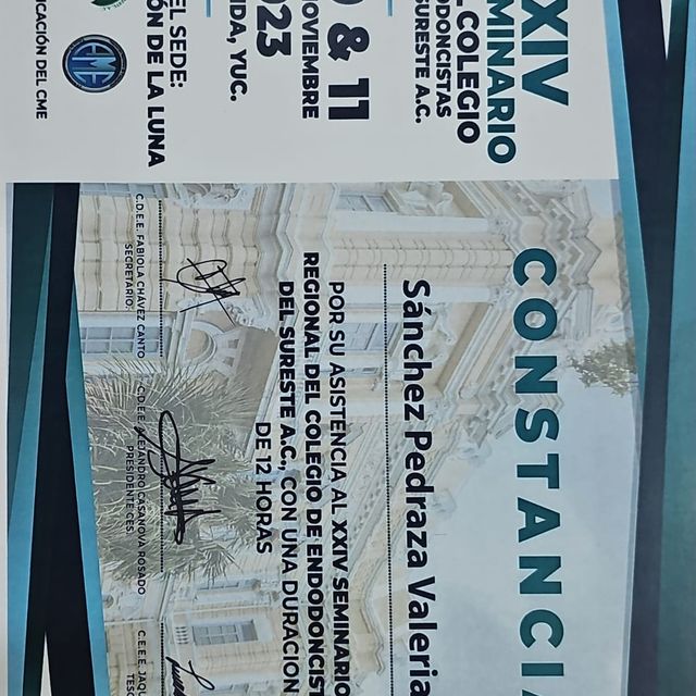 Ampliar imagen: certificate 9