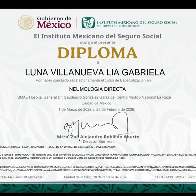 Ampliar imagen: certificate 2