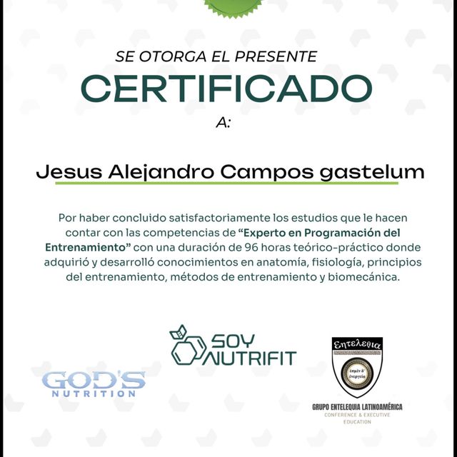 Ampliar imagen: certificate 8