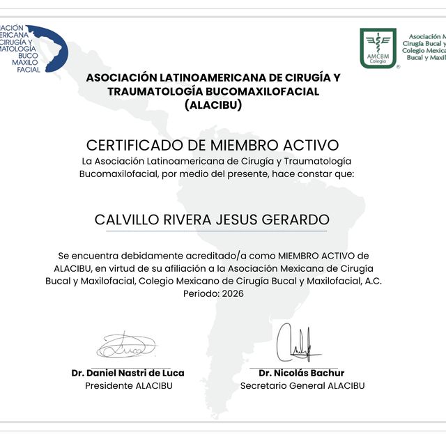 Ampliar imagen: certificate 2