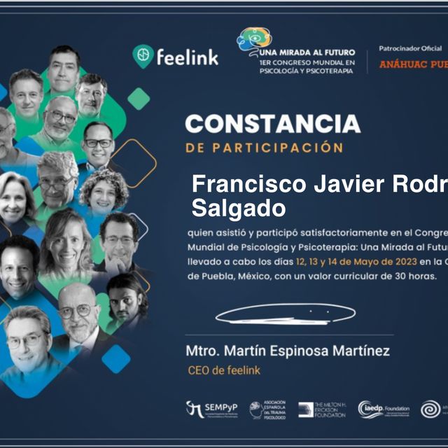 Ampliar imagen: certificate 7