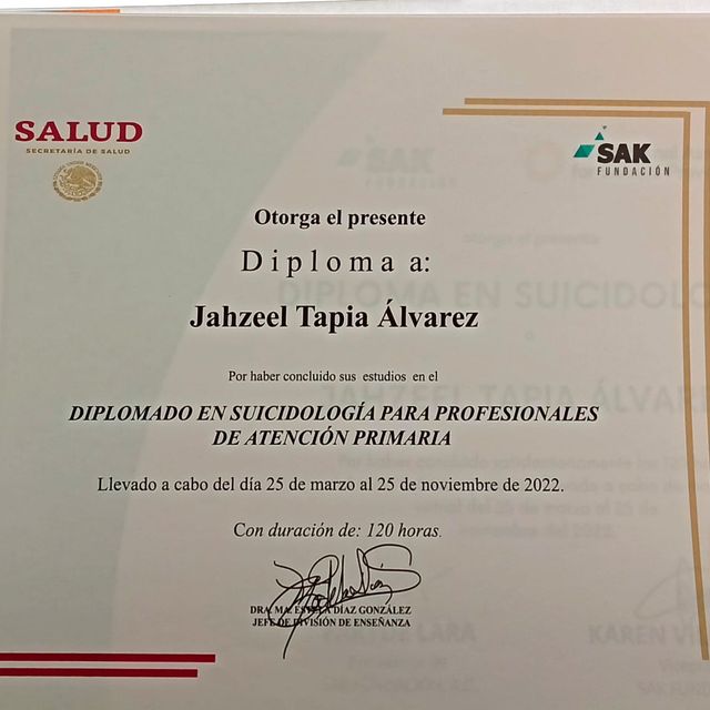 Ampliar imagen: certificate 2