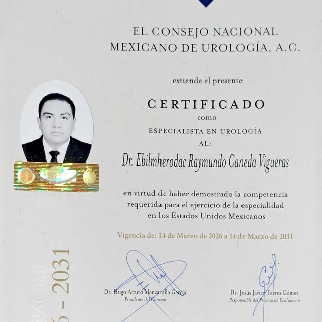 Ampliar imagen: certificate 1
