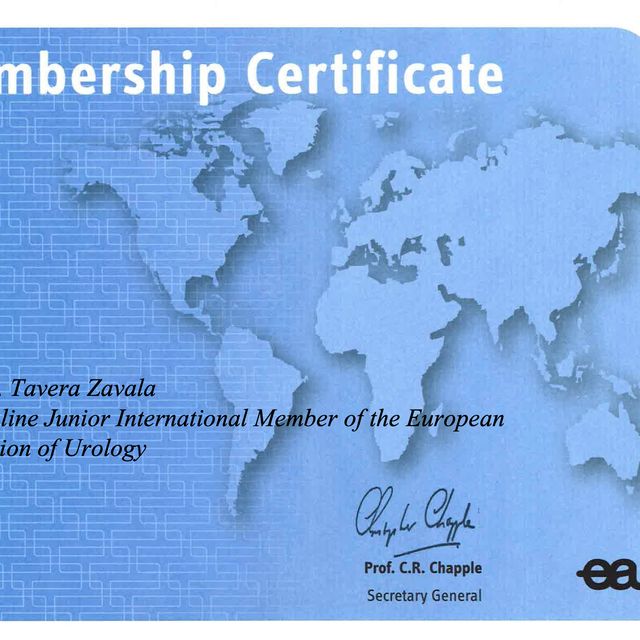 Ampliar imagen: certificate 2