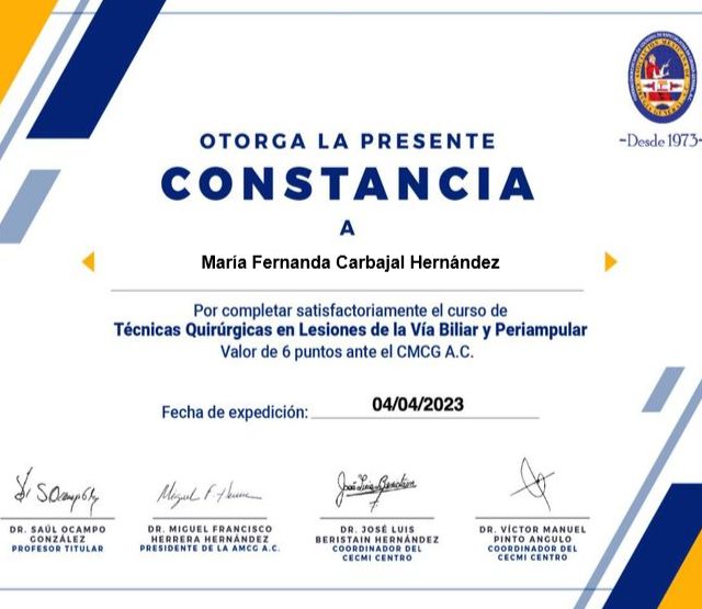 Ampliar imagen: certificate 13