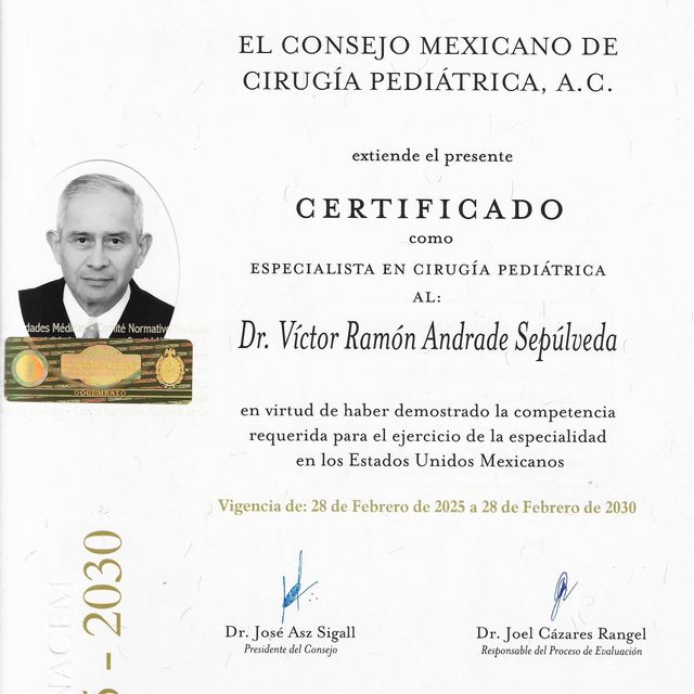 Ampliar imagen: certificate 4