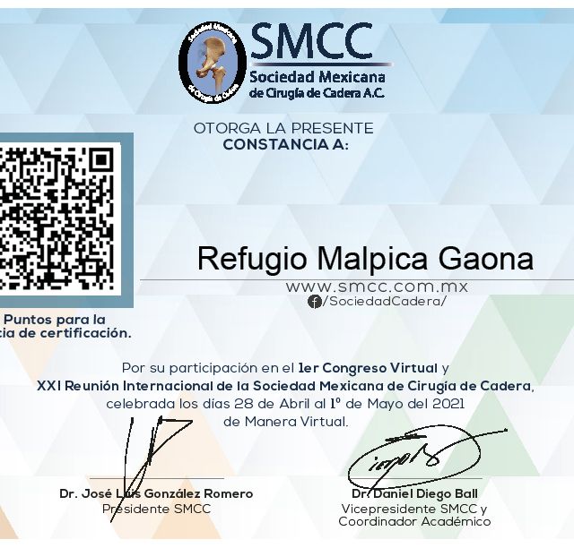 Ampliar imagen: certificate 1