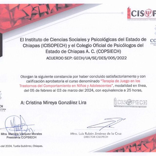 Ampliar imagen: certificate 10