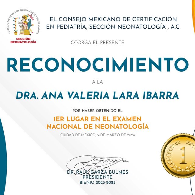 Ampliar imagen: certificate 1
