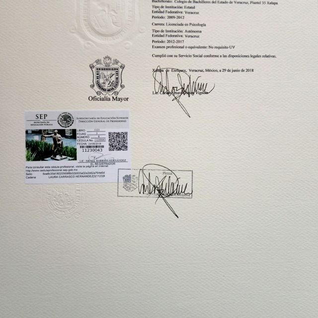 Ampliar imagen: certificate 3