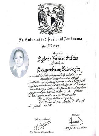 Ampliar imagen: certificate 1
