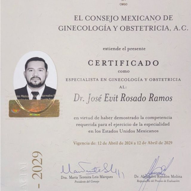 Ampliar imagen: certificate 9