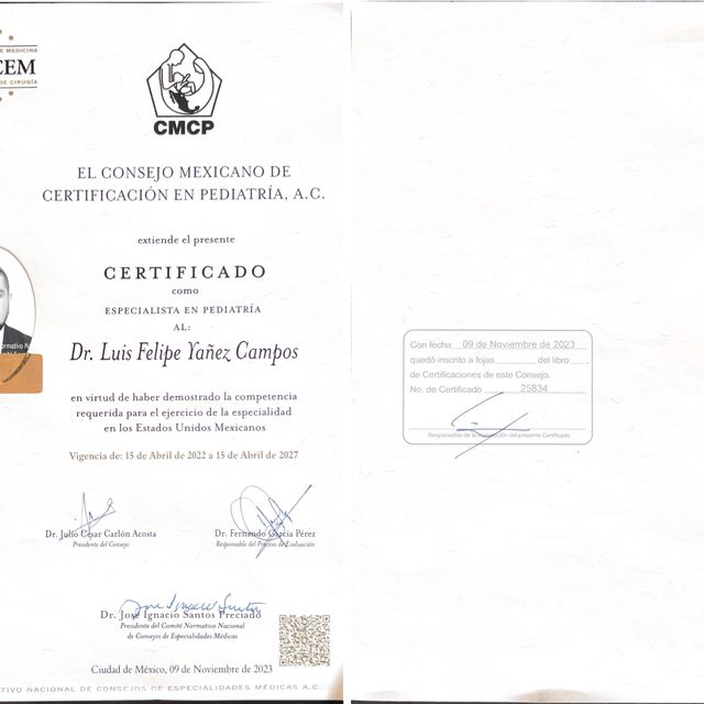 Ampliar imagen: certificate 1