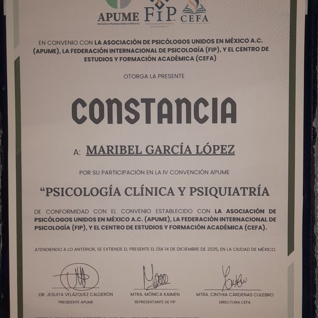 Ampliar imagen: certificate 23