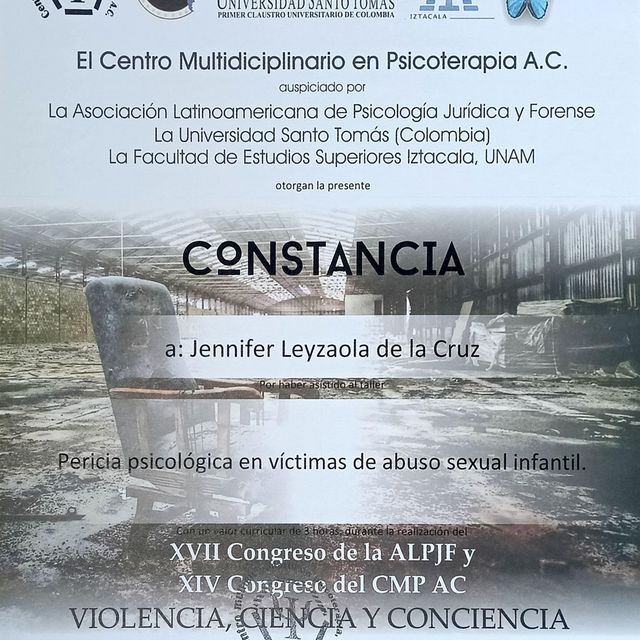 Ampliar imagen: certificate 14