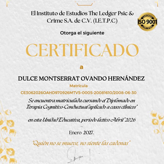 Ampliar imagen: certificate 10