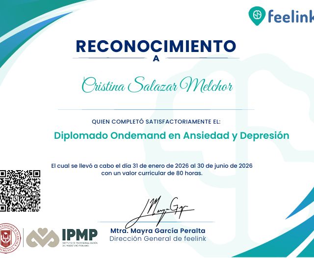 Ampliar imagen: certificate 6