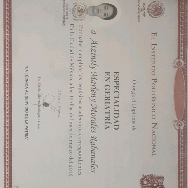 Ampliar imagen: certificate 1
