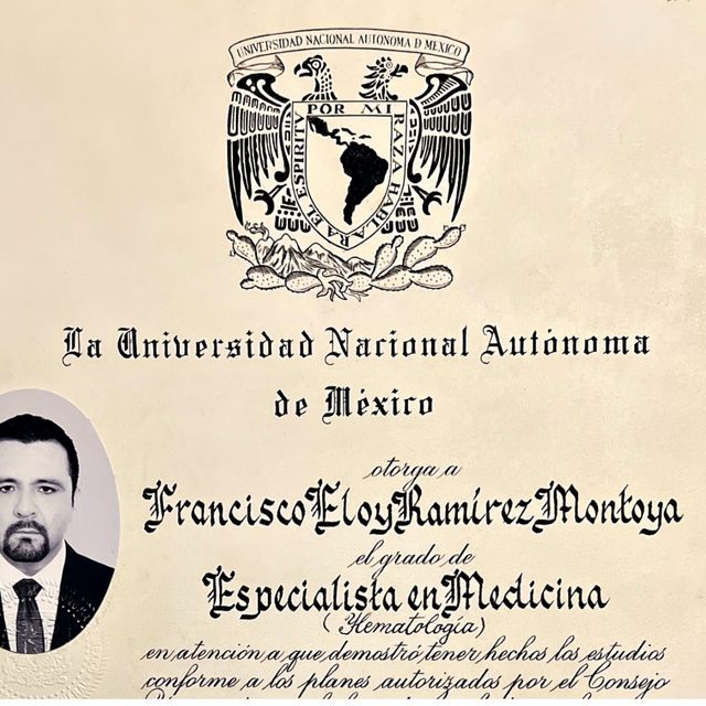 Ampliar imagen: certificate 3