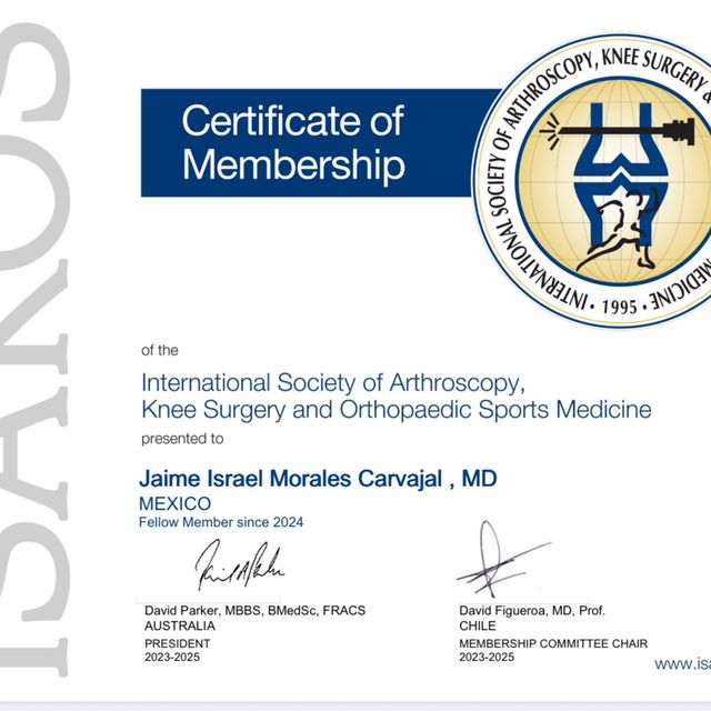 Ampliar imagen: certificate 1