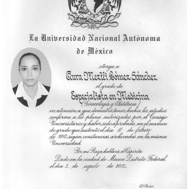 Ampliar imagen: certificate 16