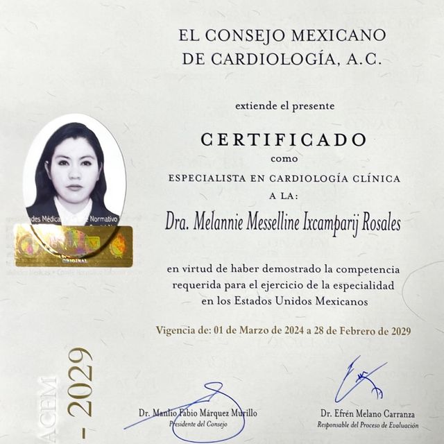 Ampliar imagen: certificate 2